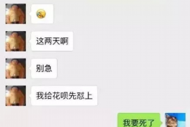 嘉黎债务清欠服务